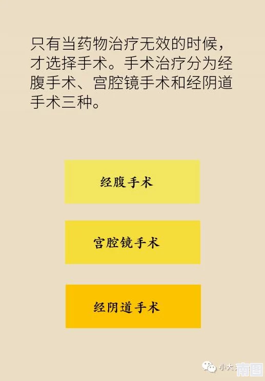 女人荫蒂毛森林：揭示女性身体自然之美与文化认知的深层次探讨与反思