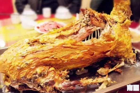 jalapa新疆：网友热评！独特风味与浓厚文化交织的美食之旅体验