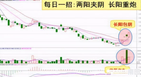 国模炮图：最新进展揭示了该项目的技术突破与未来发展方向，值得关注的行业动态和市场反响
